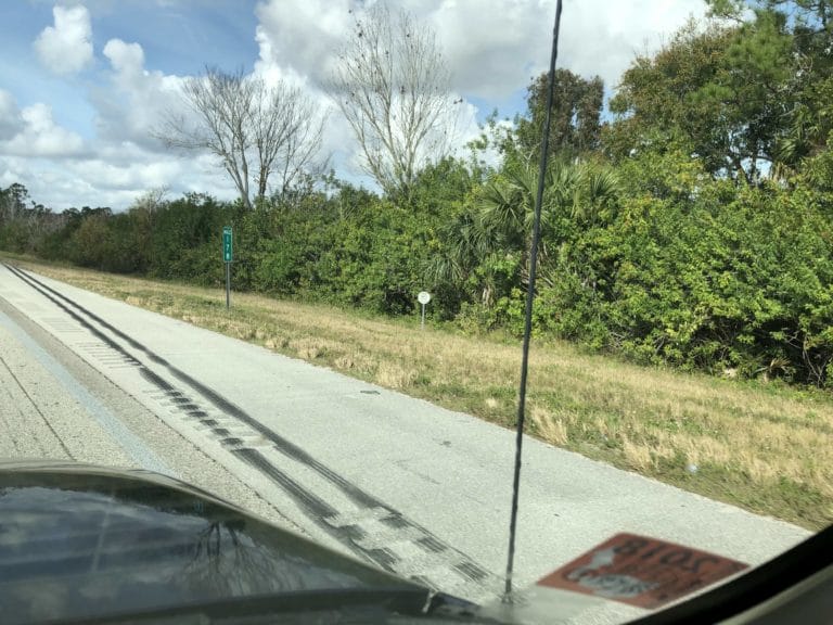 FL IMG 2264 min 768x576