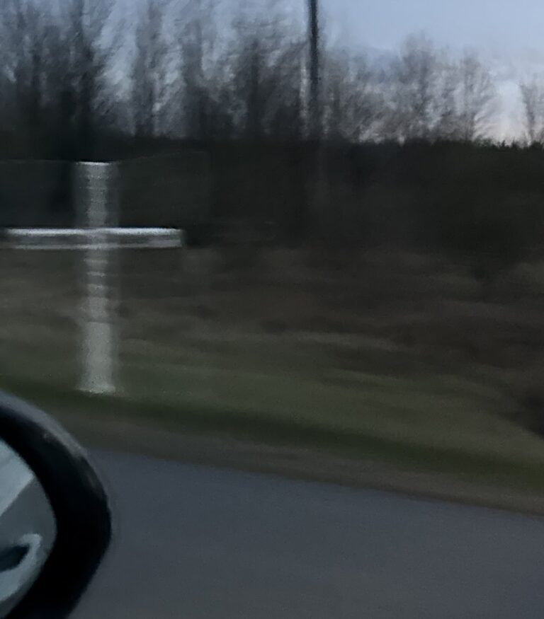 min IMG 5313 768x875